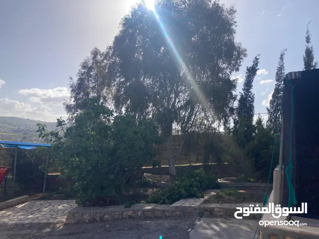 2 Bedrooms Chalet for Rent in Zarqa Birayn