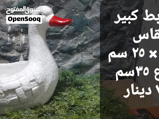 قواوير زرع باشكال البط