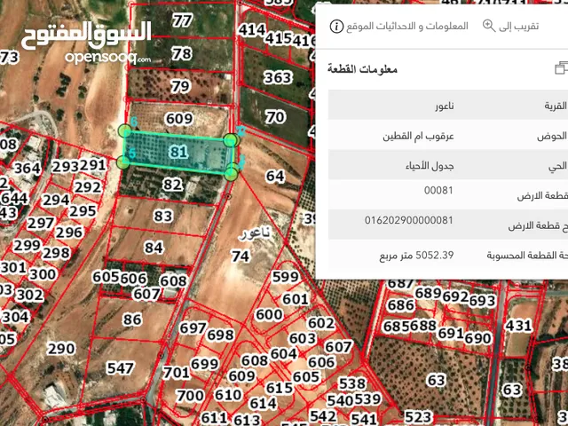 Residential Land for Sale in Amman Naour