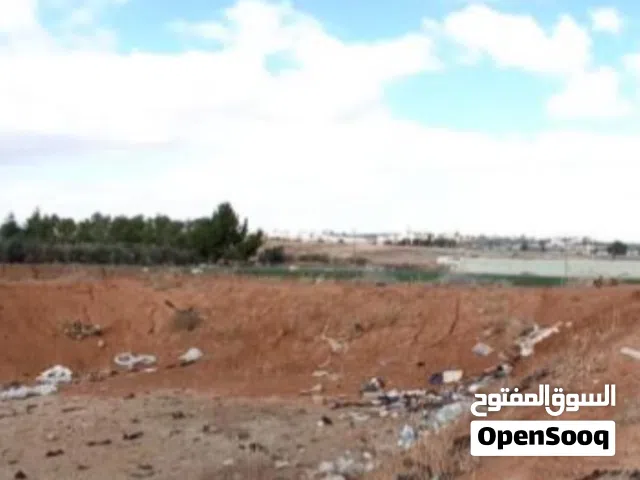 Farm Land for Sale in Amman Other