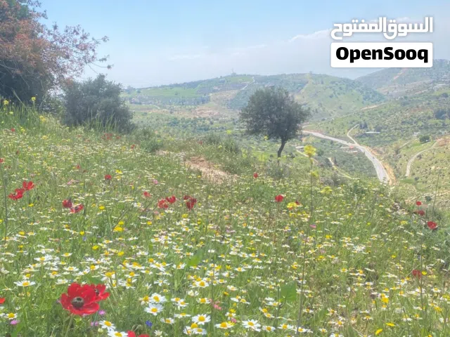 ارض للبيع  في موقع مميز بمدينة السلط ( الجبيل - جامعة البلقاء )