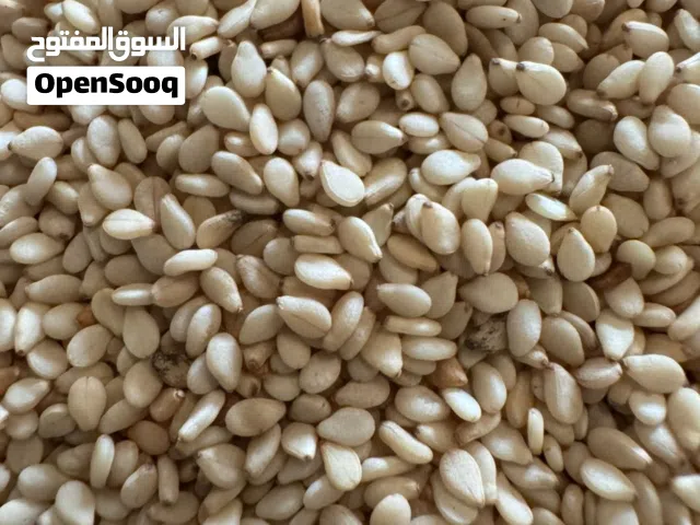 تصدير واستيراد محاصيل زراعيه السمسم والصمغ العربي مطلوب شريك ممول جاد للدخول في شراكة توسعية في مجال