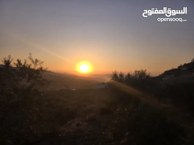 Mixed Use Land for Sale in Nablus Other