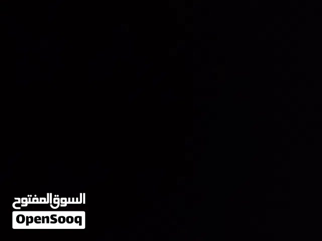 دجاج بلدي وفيومي بياض عدد 28 طير