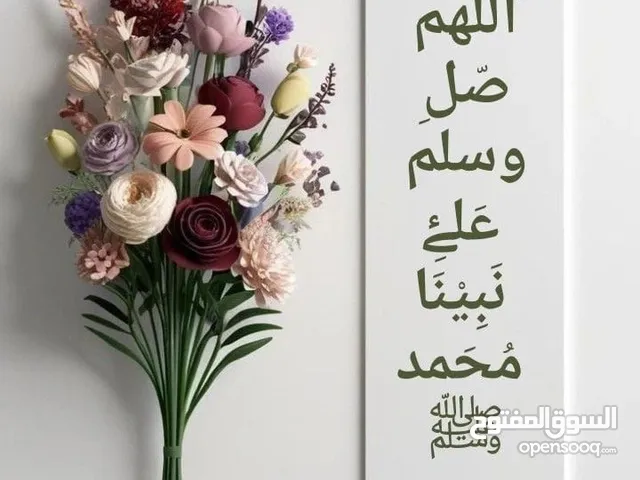 استوديو للبيع سكن طلاب مقابل الجامة الأمريكية