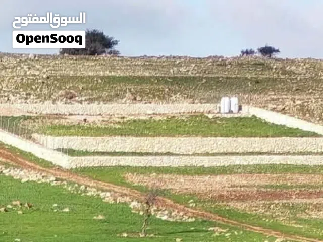 ارض للبيع في عجلون خلف جامعة عجلون الوطنية مستصلحه ومسلسله و مربعة الشكل وعاليه مطله والمساحه 2دنم