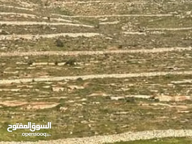 ارض للبيع مساحتها 10 دنمات و 250م منطقه المعمريه تبعد عن الشارع الرئيسي 500م مرتفعه ومطله بسعر 45