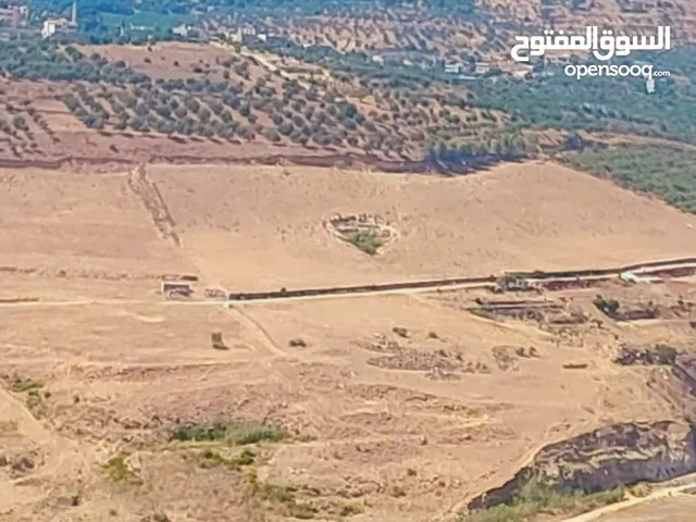 Farm Land for Sale in Jerash Al-Majdal