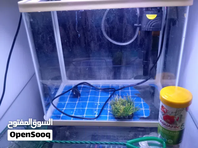 حوض اسماك للبيع