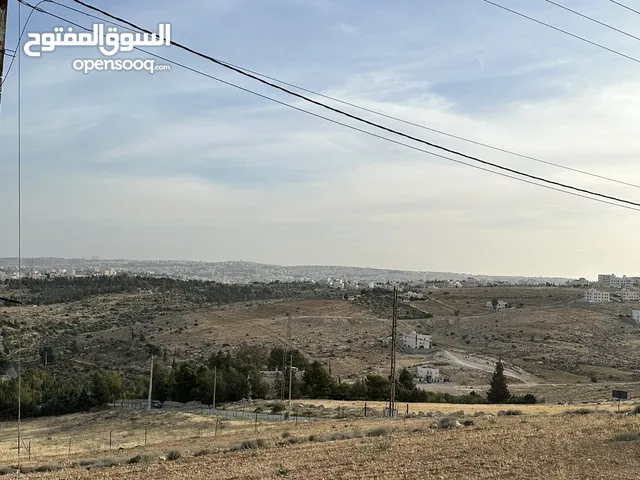 Residential Land for Sale in Amman Shafa Badran