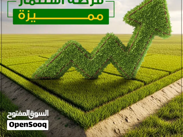 فرصة استثمار لا تعوض في اراضي الرامة