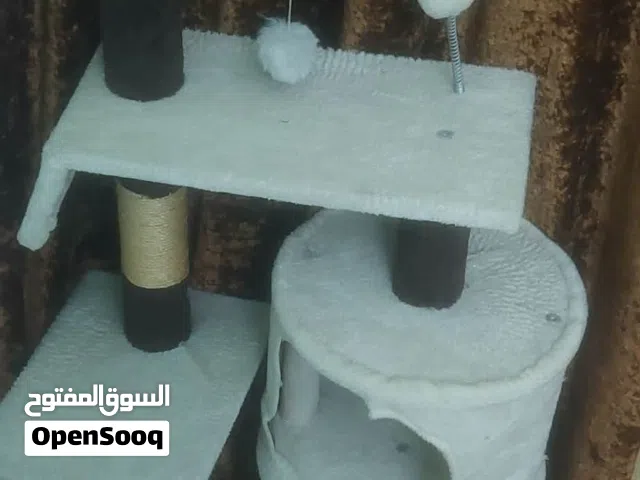 بيت قطط شجرة