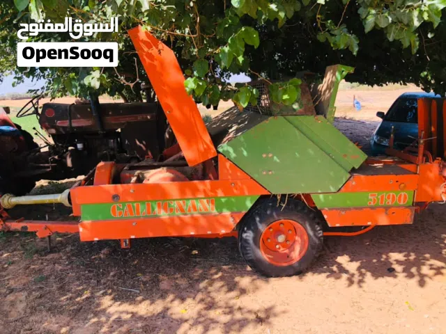 رباط جيليانا شباك نظيف