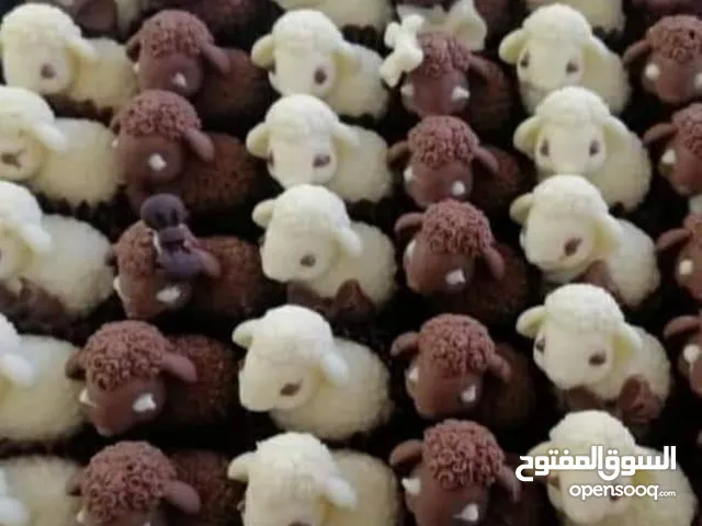 شكولاته بلجيكيه