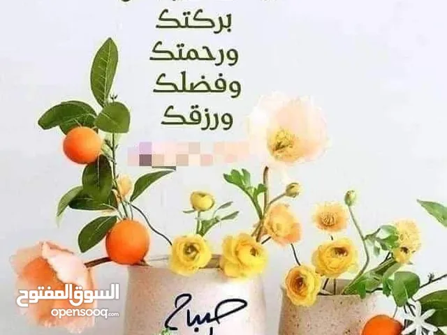اعفاء ضباط 2000cc جديد مطلوب 16500 المراجعه رقم الهاتف بالوصف