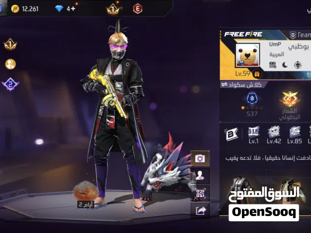 Free Fire Accounts and Characters for Sale in Ras Al Khaimah