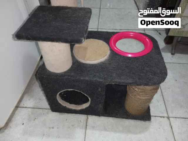 بيت قطة بحال الوكالة موجود في الزرقاء الجديدة للبيع