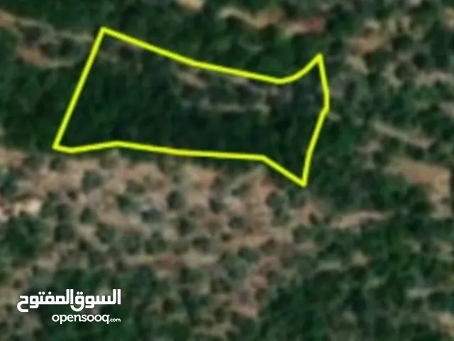 Mixed Use Land for Sale in Ramallah and Al-Bireh Dayr Ghasana