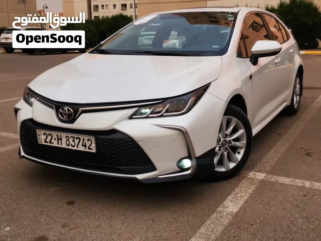 كورلا خليجي SAS وكالة 2023