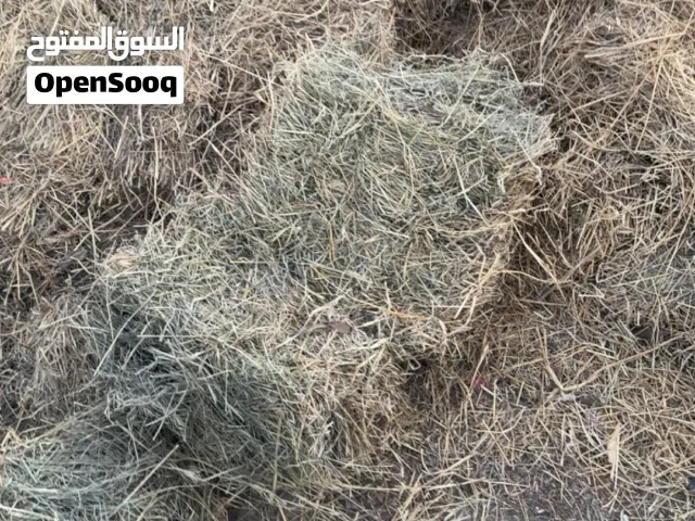 البيع حشيش