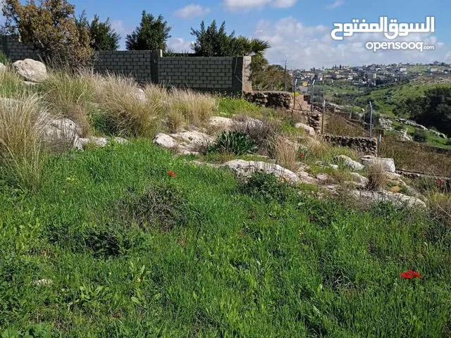 Mixed Use Land for Sale in Irbid Der Abi Saeed