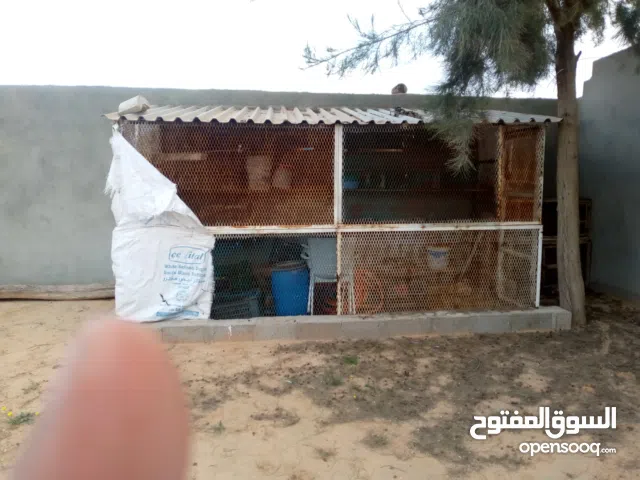 براكة حمام نظيفة طول 4متر العرض 1،80 بالزينقو كاملة