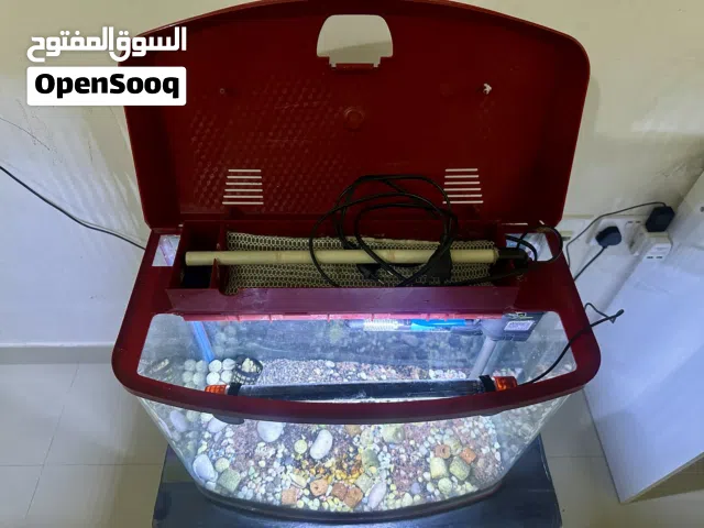 Fish aquarium for sale