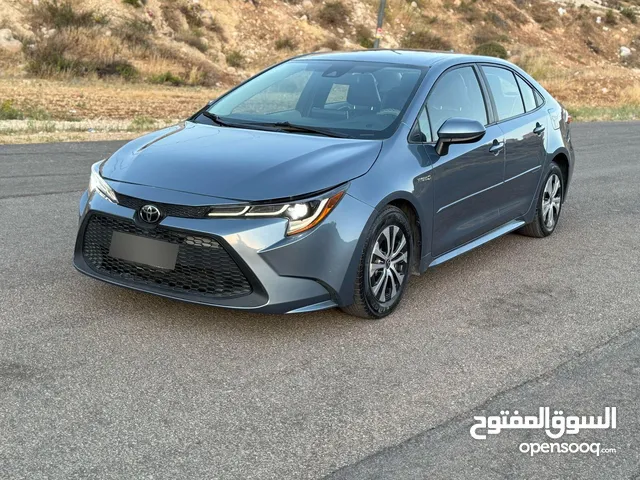 Used Toyota Corolla in Amman