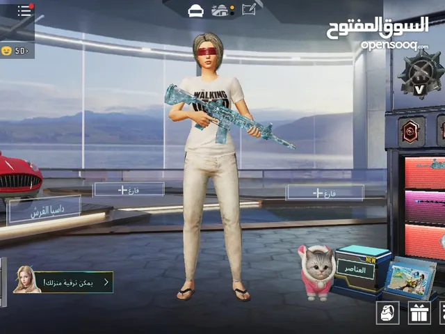 Pubg Accounts and Characters for Sale in Nablus
