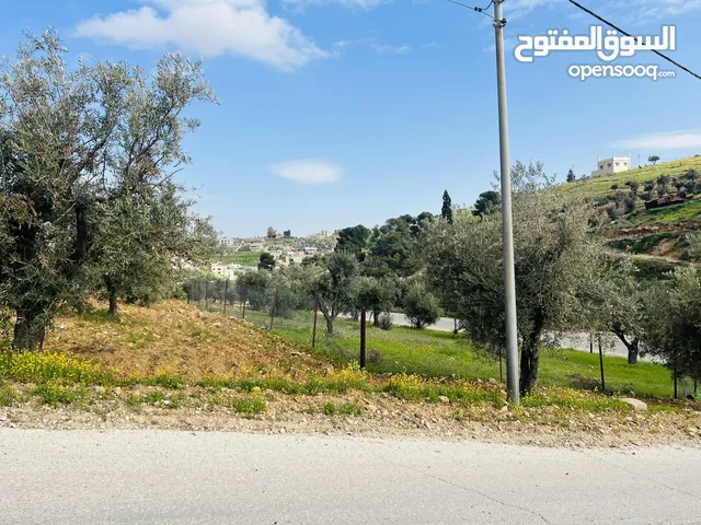 Residential Land for Sale in Zarqa Rajm Al Shawk