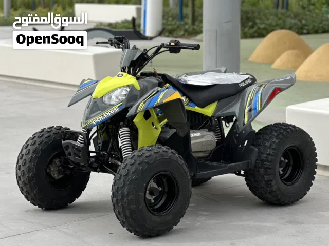 2020 Polaris Other