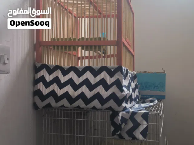 قفص خشب للبيع