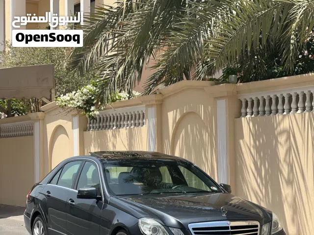2010 Mercedes Benz E-Class E 300