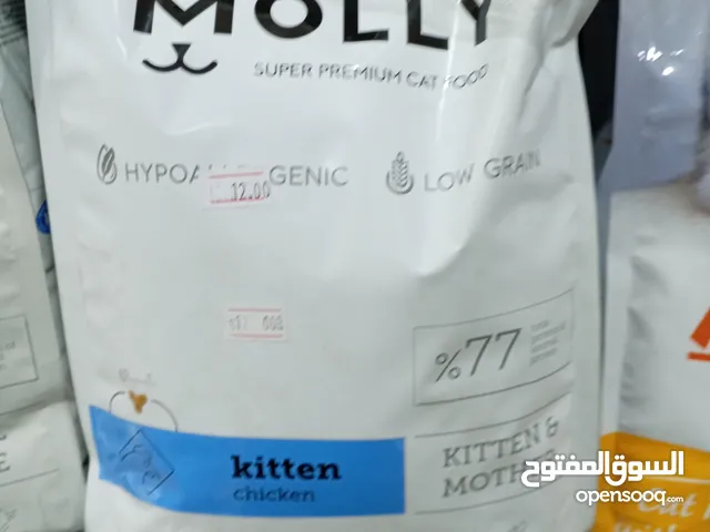 اكل قطط kitten molly 2k
