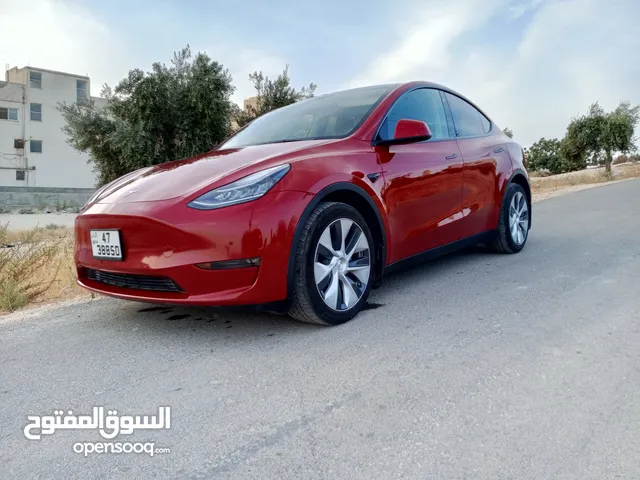 Used Tesla Model Y in Amman