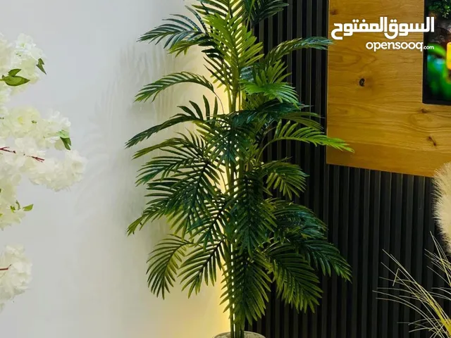 شجرة النخيل