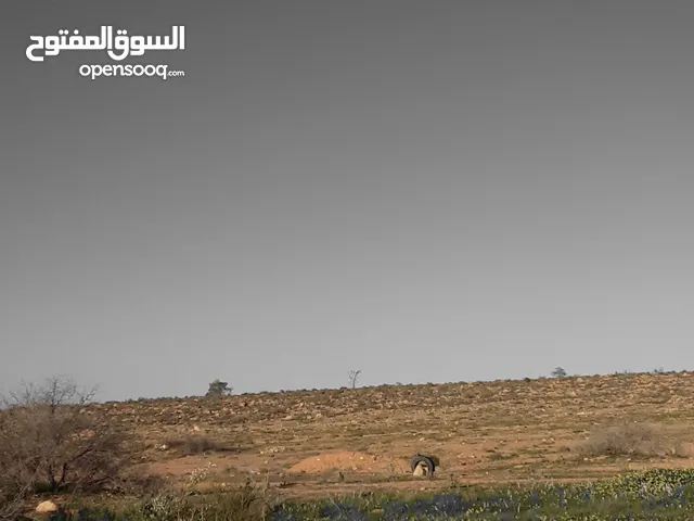 Mixed Use Land for Sale in Gharyan Other