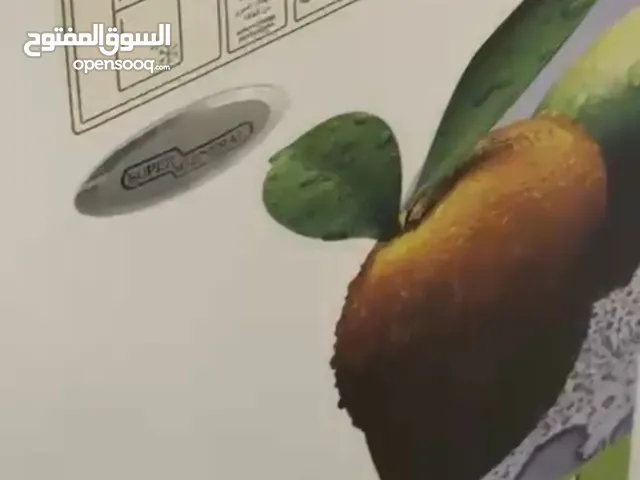 Other Refrigerators in Al Ain
