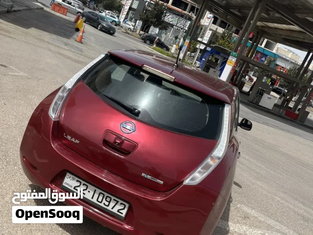 2014, نيسان, ليف, S