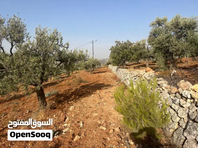 Farm Land for Sale in Jerash Soof