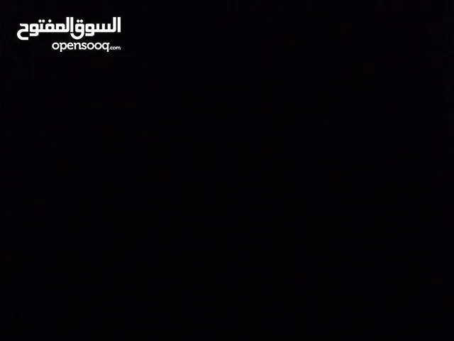 محمد الرويعي الدهمشي