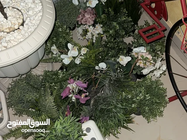 للبيع زرع صناعي اشكال واجد وحلوه