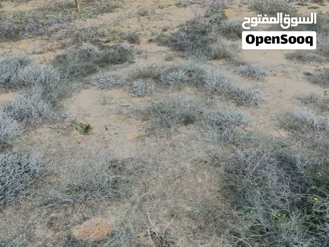 قطعة ارض للبيع الباعيش شارع مدهش لاند المساحة 1280 واجهتين