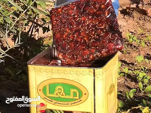 تمر برحي للبيع