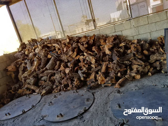بيع وشراء حطب قص وتنقيب الاشجار
