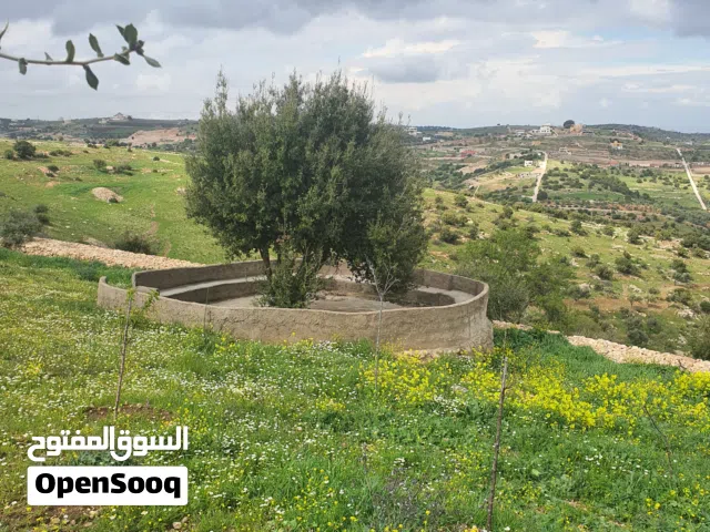 Farm Land for Sale in Ajloun Sakhra