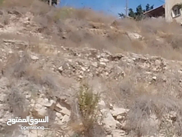 ابو محمد علاري