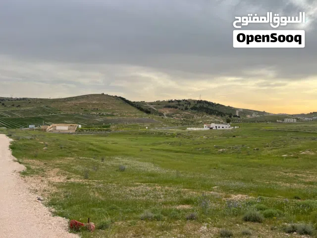ارض مشترك محدد مساحة 968 م إطلالة جميلة و هادئة