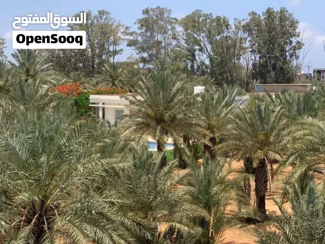 أرض 400 متر للبيع سوق الجمعة 11 يونيو خلف مقهي موتشي بالقرب من الرئسي شارع قطران وبسعر ممتاز