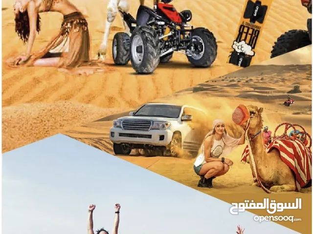 شريك لمخيم صحراوي في ابوظبي